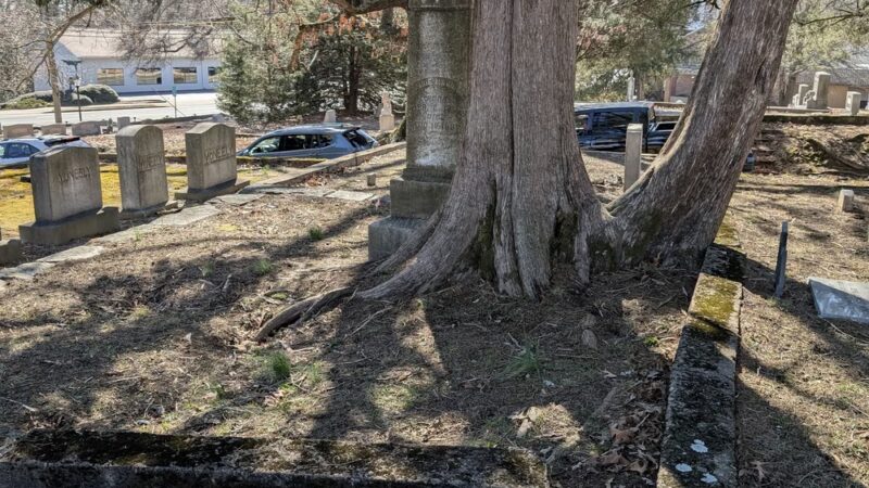 Woodstock Park - Roswell, GA