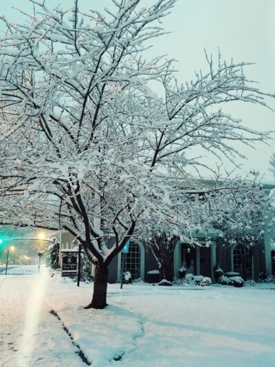 Woodstock Park - Roswell, GA