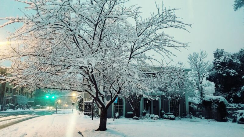 Woodstock Park - Roswell, GA