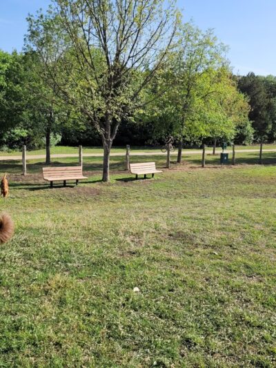 Round Rock Dog Depot - Round Rock, TX