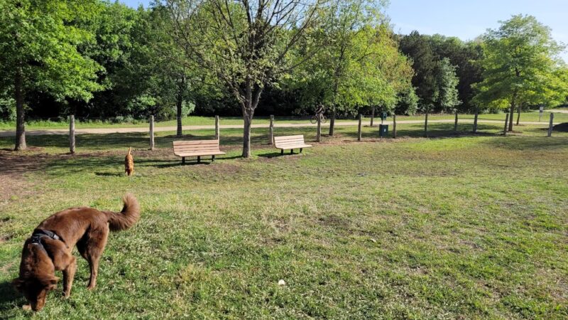 Round Rock Dog Depot - Round Rock, TX