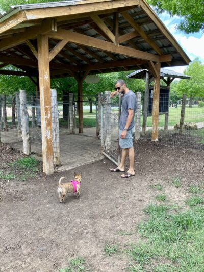 Round Rock Dog Depot - Round Rock, TX