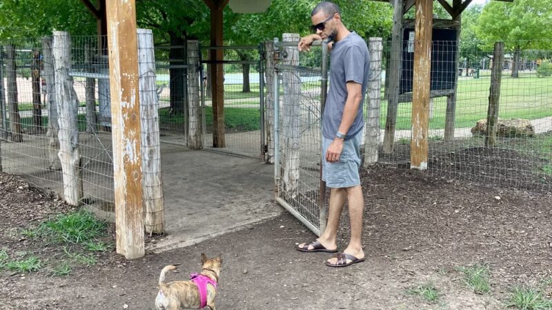 Round Rock Dog Depot - Round Rock, TX