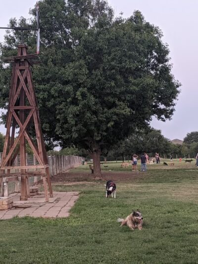 Round Rock Dog Depot - Round Rock, TX