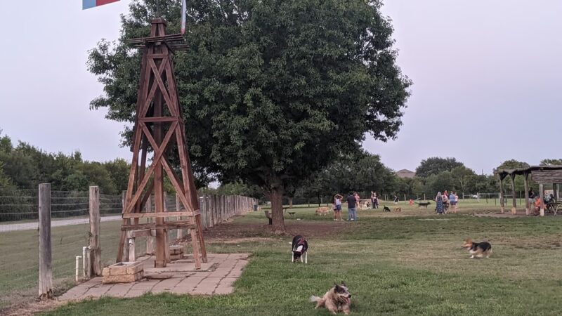 Round Rock Dog Depot - Round Rock, TX