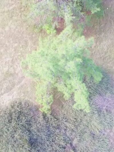 Blevins Park - Rowland Heights, CA