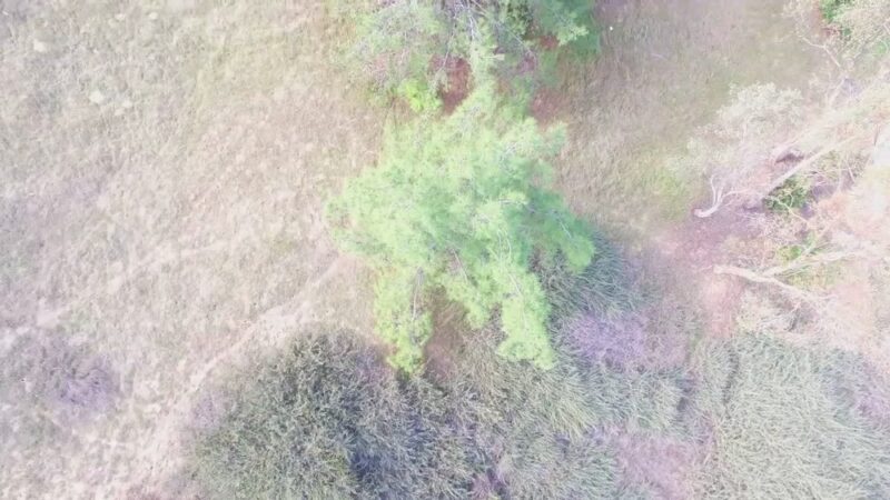 Blevins Park - Rowland Heights, CA