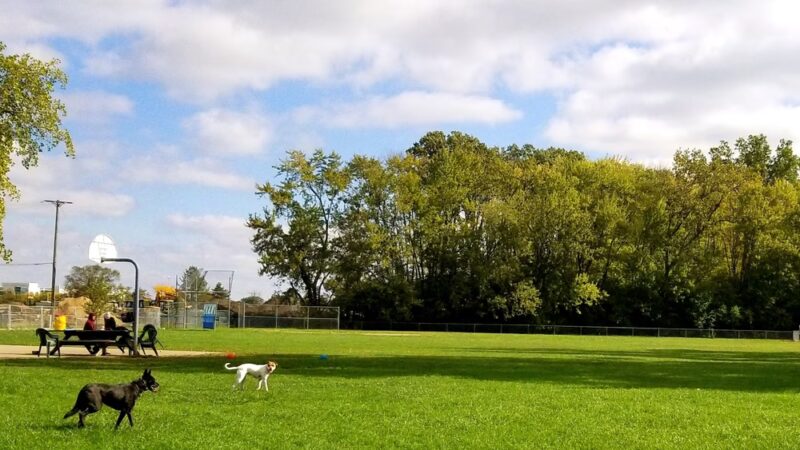 Mark Twain Dog Park-membership - Royal Oak, MI
