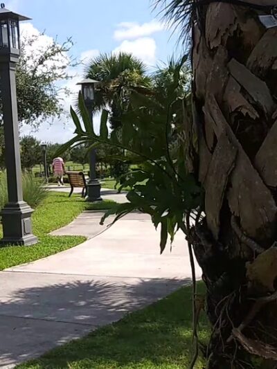 Commons Park - Royal Palm Beach, FL