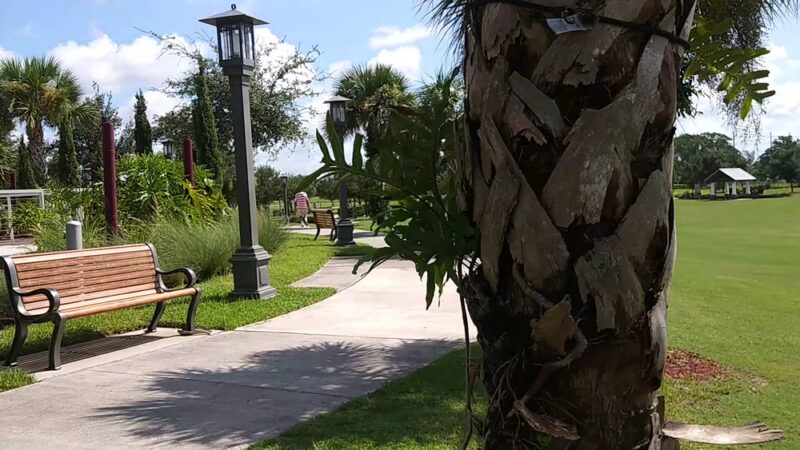 Commons Park - Royal Palm Beach, FL