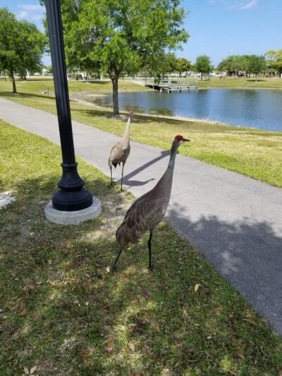 Todd A. Robiner Park - Royal Palm Beach, FL