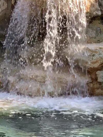 Veteran's Park - Royal Palm Beach, FL