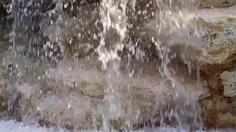 Veteran's Park - Royal Palm Beach, FL