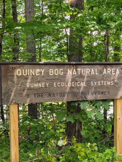 Quincy Bog Natural Area - Rumney, NH