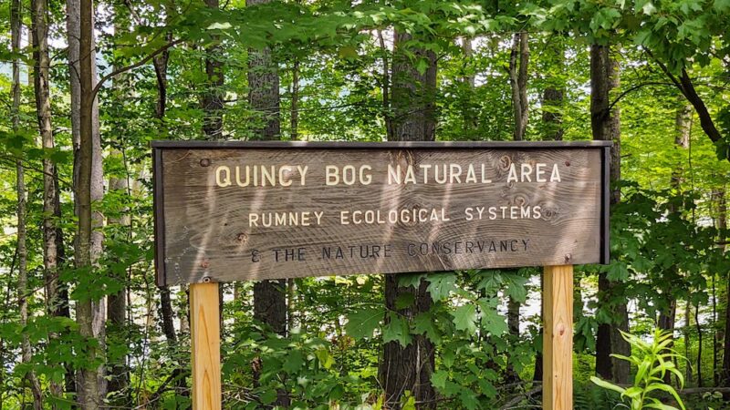 Quincy Bog Natural Area - Rumney, NH