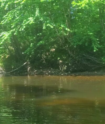 Riverbrook Campground & RV Park - Rumney, NH