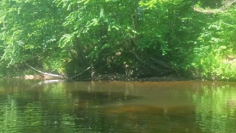 Riverbrook Campground & RV Park - Rumney, NH