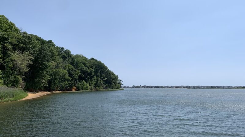 Pier at Hartshorne Woods Park - Rumson, NJ