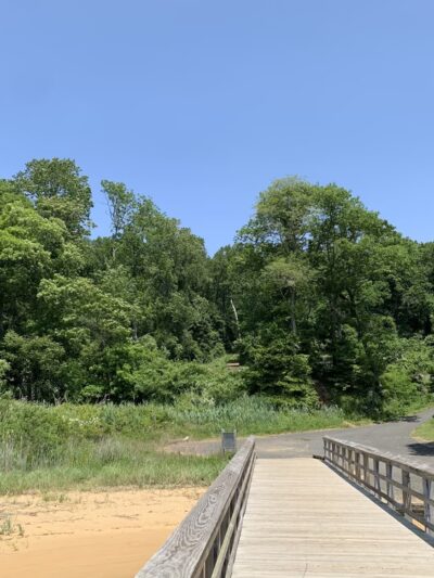 Pier at Hartshorne Woods Park - Rumson, NJ