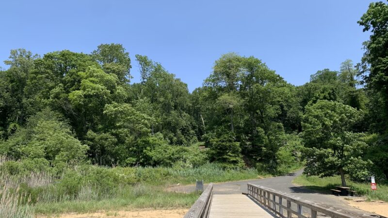 Pier at Hartshorne Woods Park - Rumson, NJ