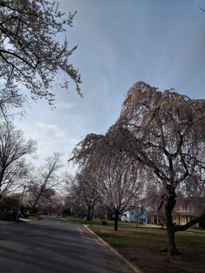 Riverside Park - Rumson, NJ