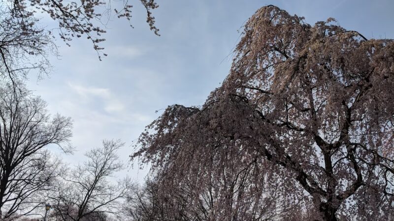Riverside Park - Rumson, NJ
