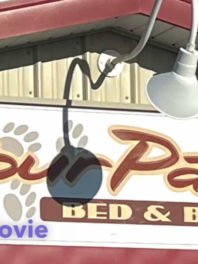 Four Paws Bed & Bath - Rupert, ID