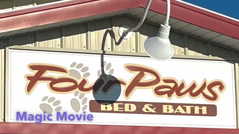 Four Paws Bed & Bath - Rupert, ID