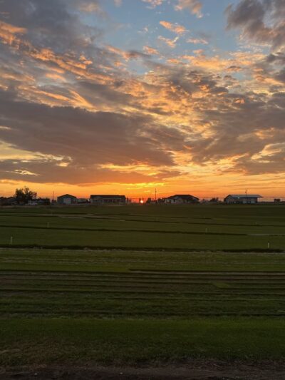 Rupert Parks & Recreation - Rupert, ID