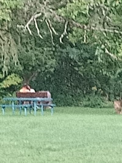 Larimer Park - Russell, PA