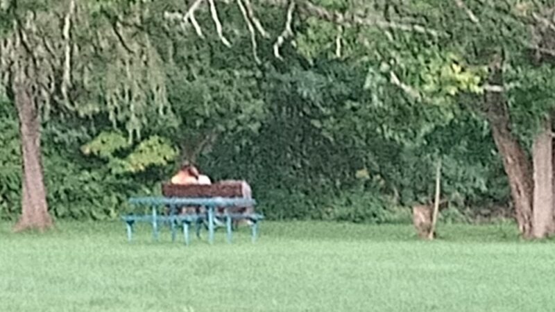 Larimer Park - Russell, PA