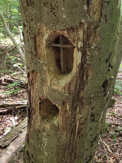 Werner Park - Russell, PA