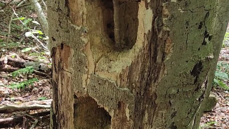 Werner Park - Russell, PA