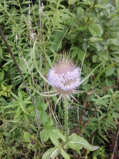 Werner Park - Russell, PA