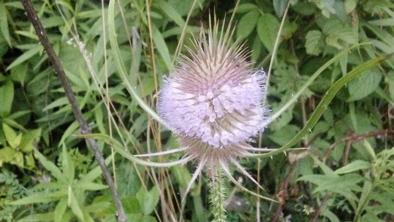 Werner Park - Russell, PA