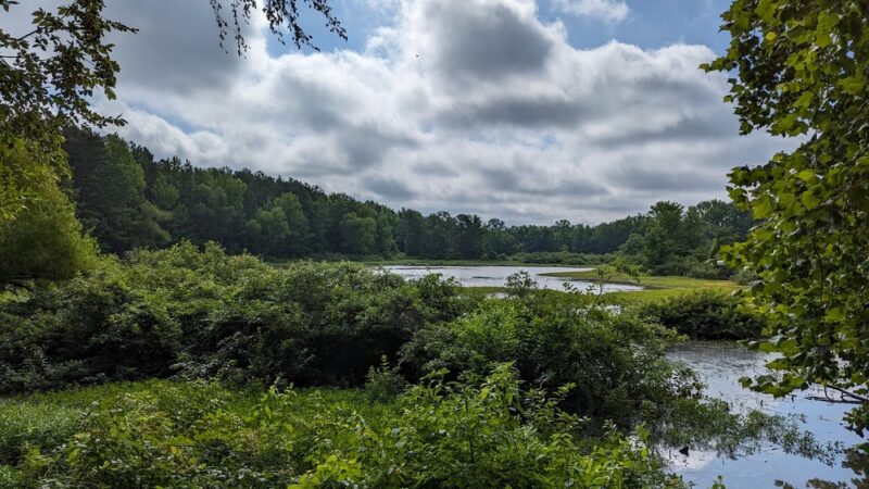 Washburn Park - Russellville, AR