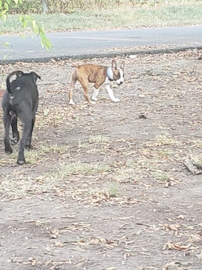 James Park - Russellville, AR