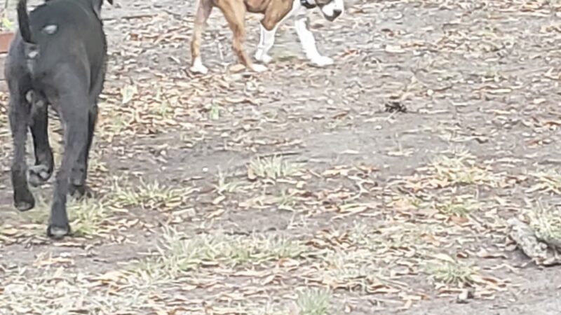 James Park - Russellville, AR