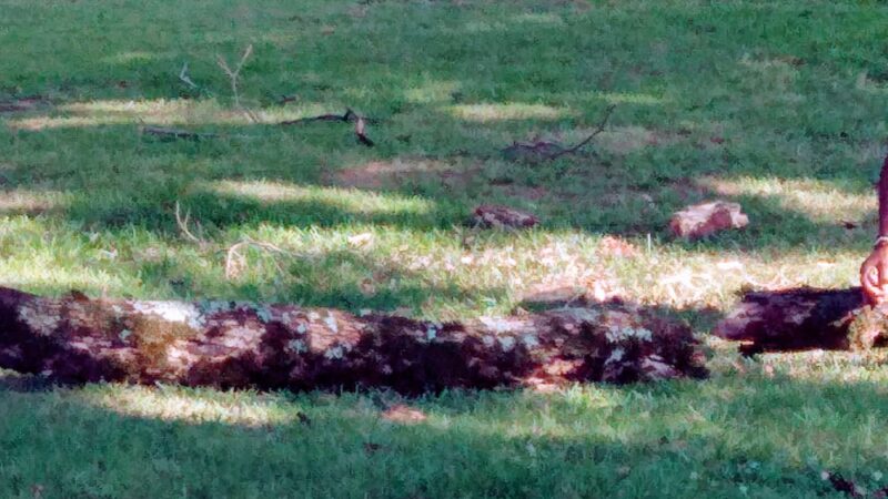 James Park - Russellville, AR