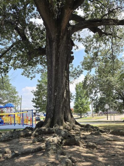 Russellville City Park - Russellville, AR