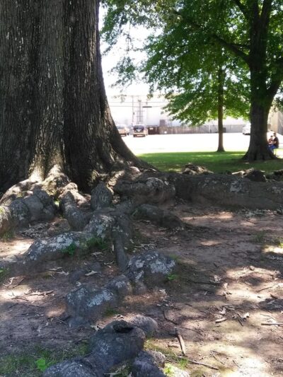 Russellville City Recreation - Russellville, AR