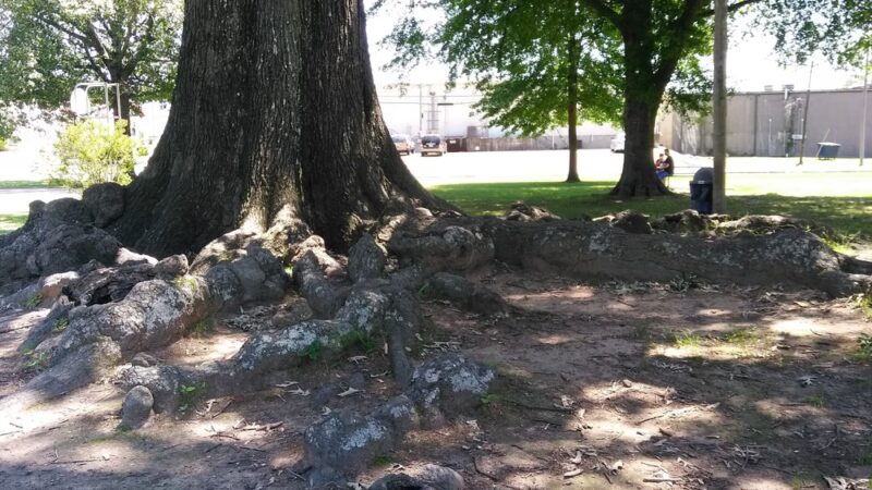 Russellville City Recreation - Russellville, AR