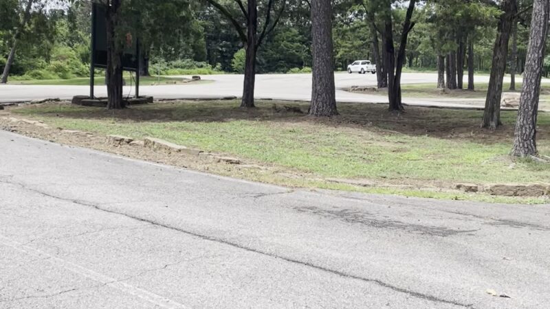 Sweet Spot Trails - Russellville, AR