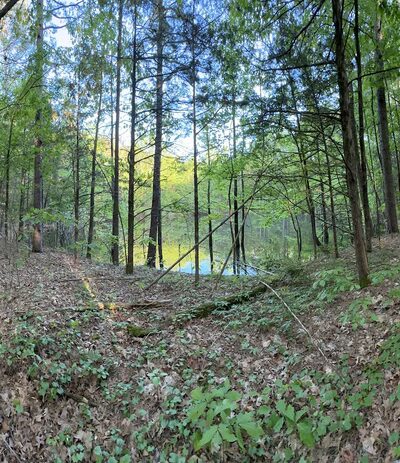 Sweet Spot Trails - Russellville, AR