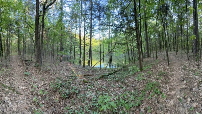 Sweet Spot Trails - Russellville, AR