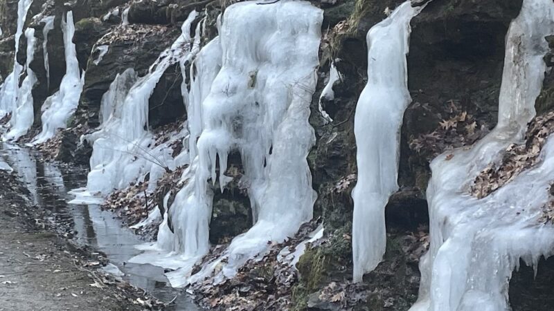 Mass Central Rail Trail Parking - Rutland, MA