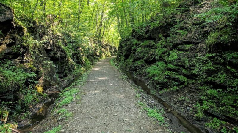 Mass Central Rail Trail - Wachusett Greenways section - Rutland, MA