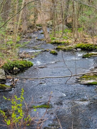 Mass Central Rail Trail - Wachusett Greenways section - Rutland, MA