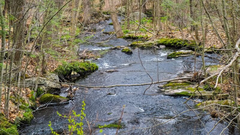 Mass Central Rail Trail - Wachusett Greenways section - Rutland, MA