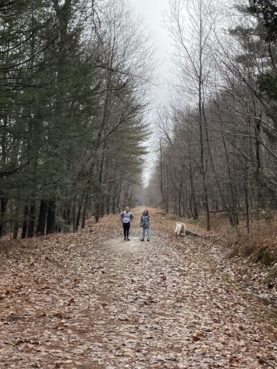 Mass Central Rail Trail (Wachusett Street Section) - Rutland, MA